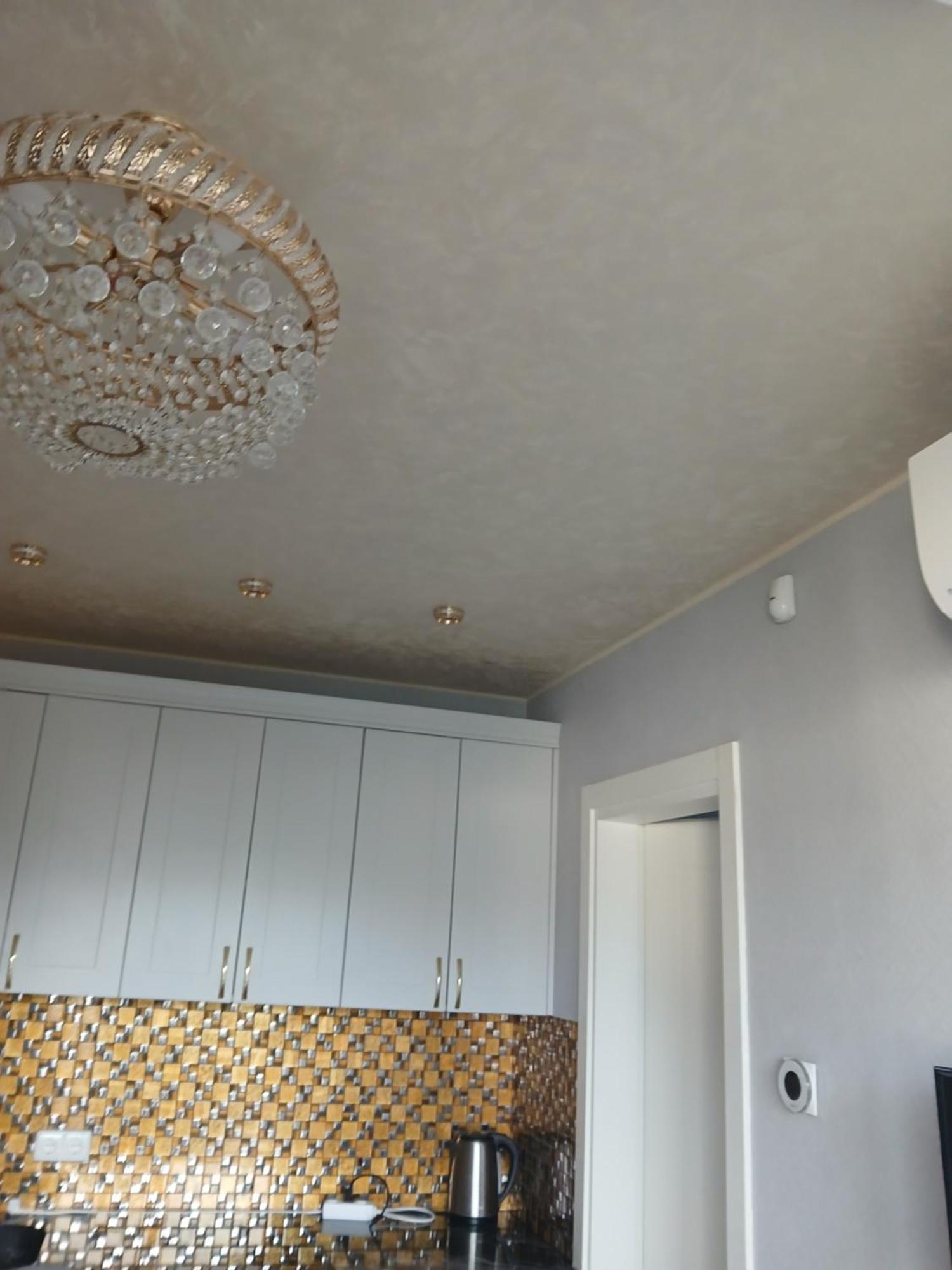 Dvieju Kambariu Butas Apartament *